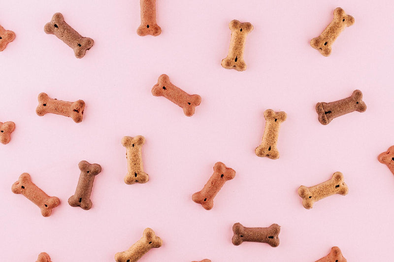Not all dog treats are created equal.