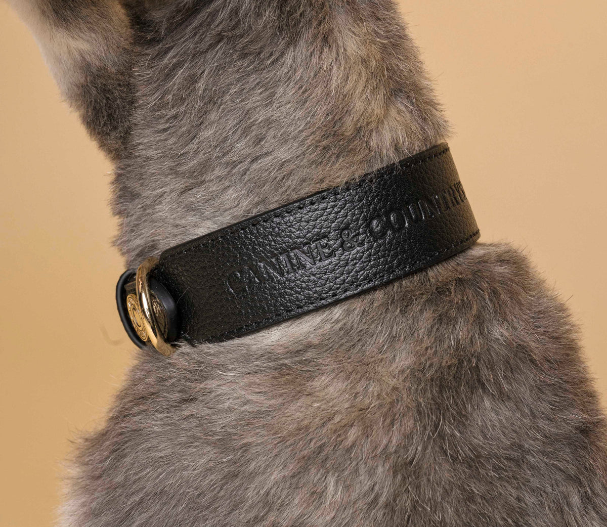 Leather Collar - Black