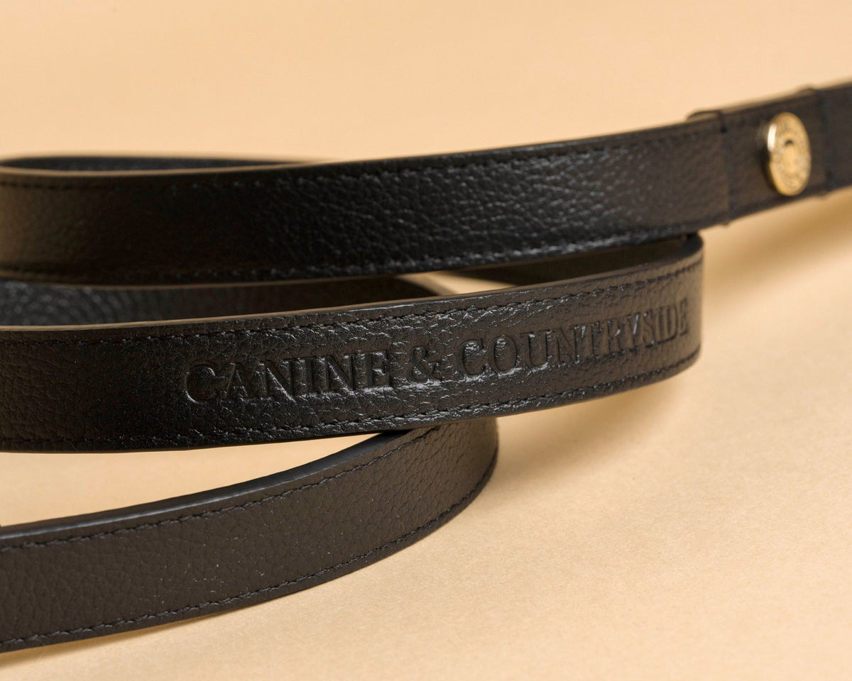 Leather Lead - Black