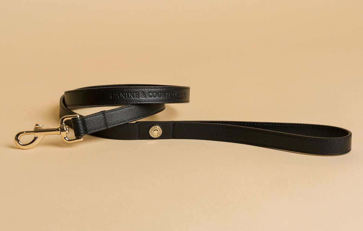 Leather Collar and Lead Set - Black